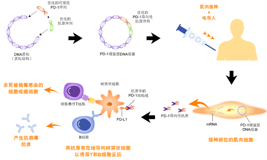 微信图片_2026-05-15_104444_057.png