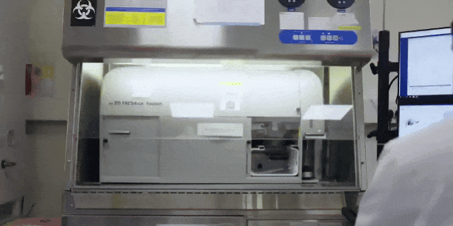 640 (3).gif