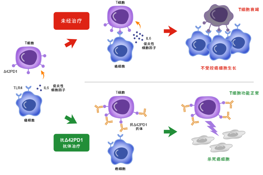微信图片_2026-05-15_104549_732.png