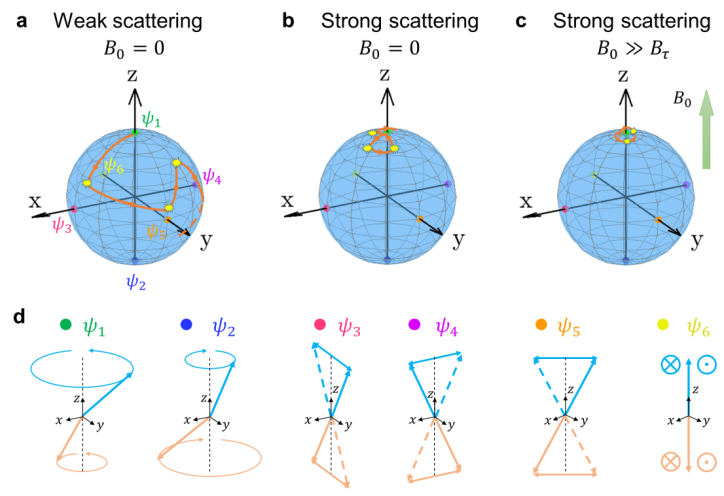 6.png